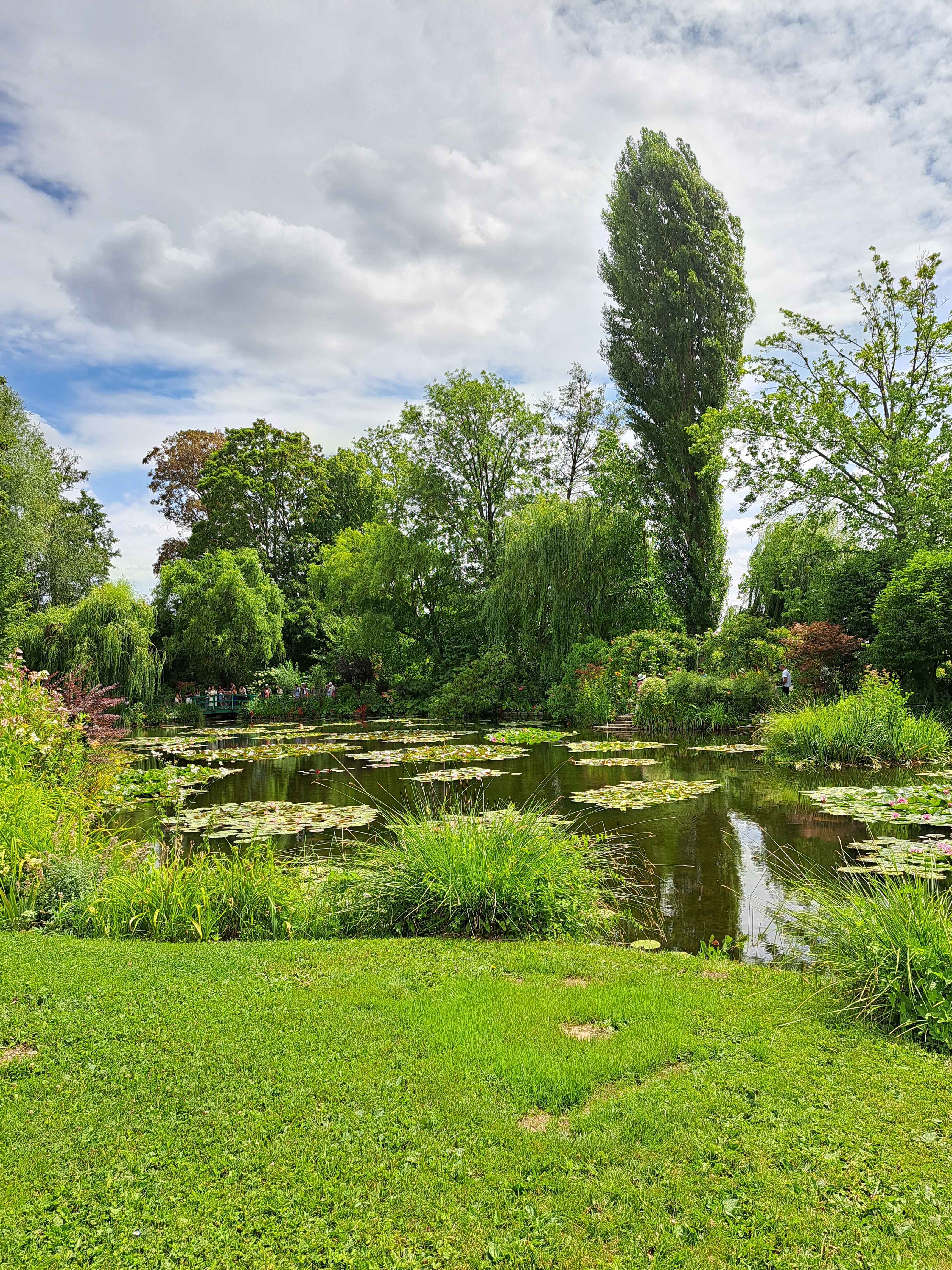 Photo n° 4 de l'avis de Fleur.a fait le 22/07/2023 à 15:46