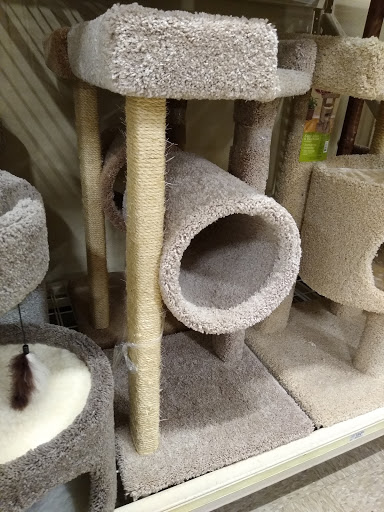 Pet Supply Store «PetSmart», reviews and photos, 10697 E US Hwy 36, Avon, IN 46123, USA