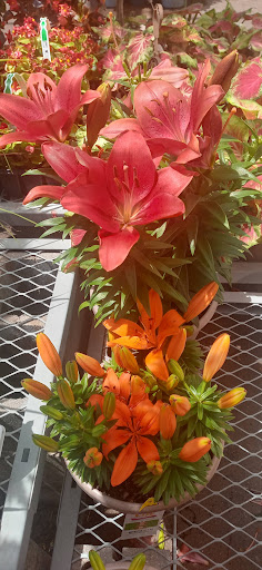 Home Improvement Store «The Home Depot», reviews and photos, 4829 US-90, Pace, FL 32571, USA