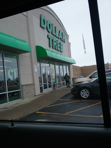 Dollar Store «Dollar Tree», reviews and photos, 1420 S Centerville Rd, Sturgis, MI 49091, USA