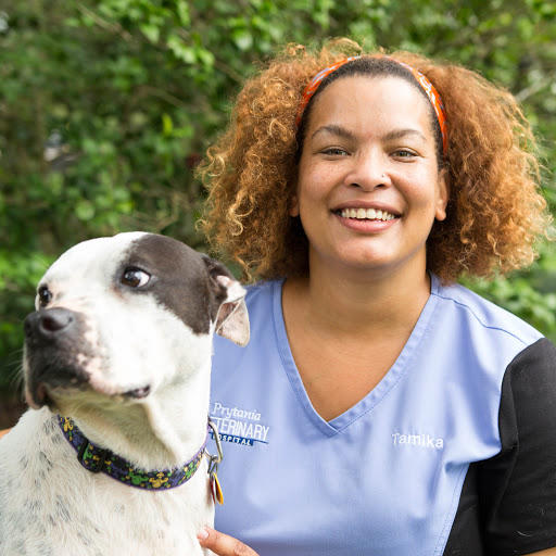 Prytania Veterinary Hospital image