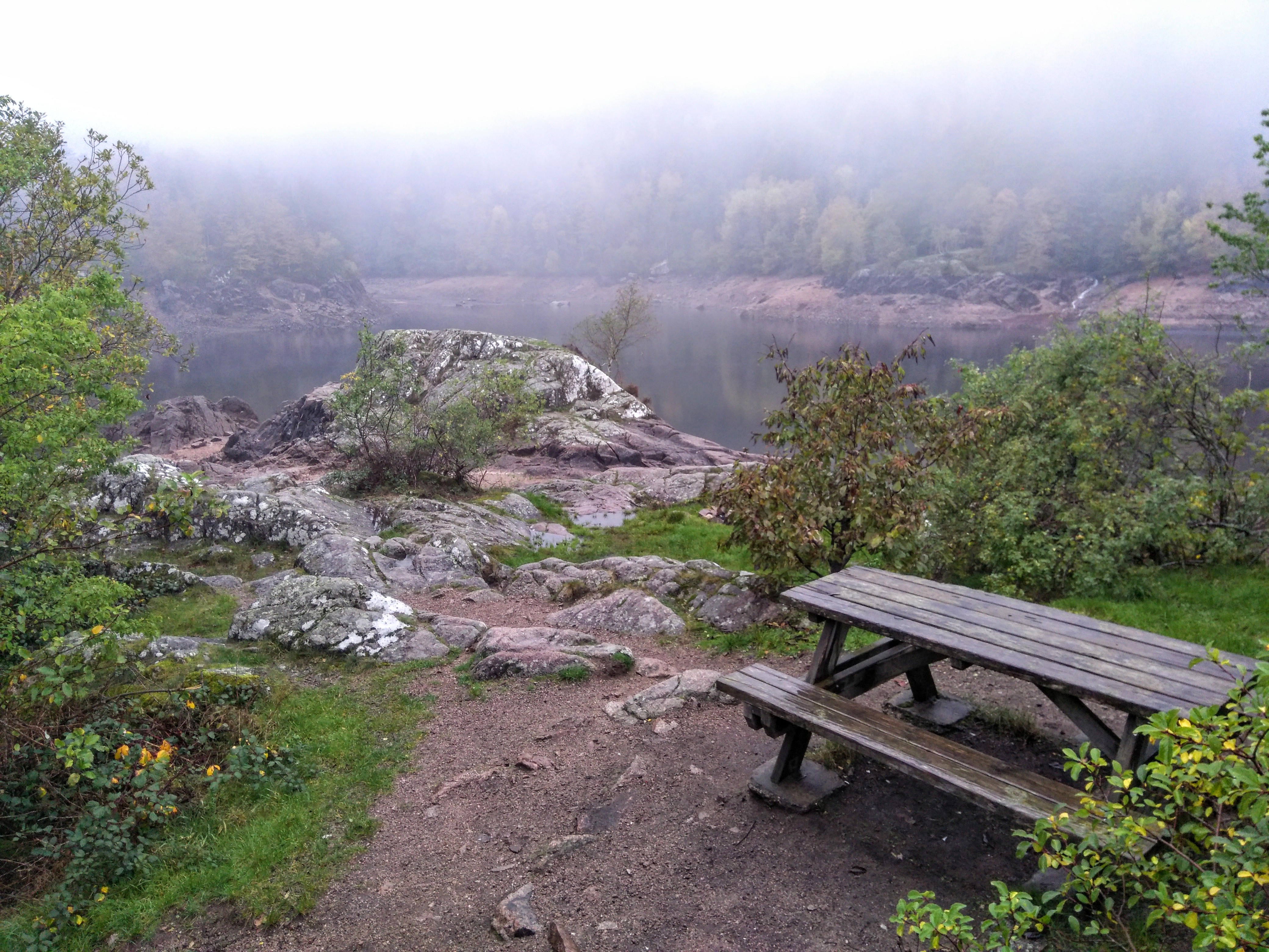 Photo n° 3 de l'avis de Anna.e fait le 02/11/2019 à 06:52