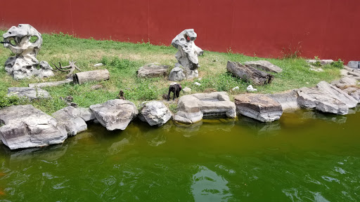 Zoo «Memphis Zoo», reviews and photos, 2000 Prentiss Pl, Memphis, TN 38112, USA