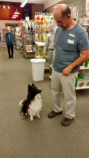 Department Store «Rains Department Store», reviews and photos, 218 E Ojai Ave, Ojai, CA 93023, USA