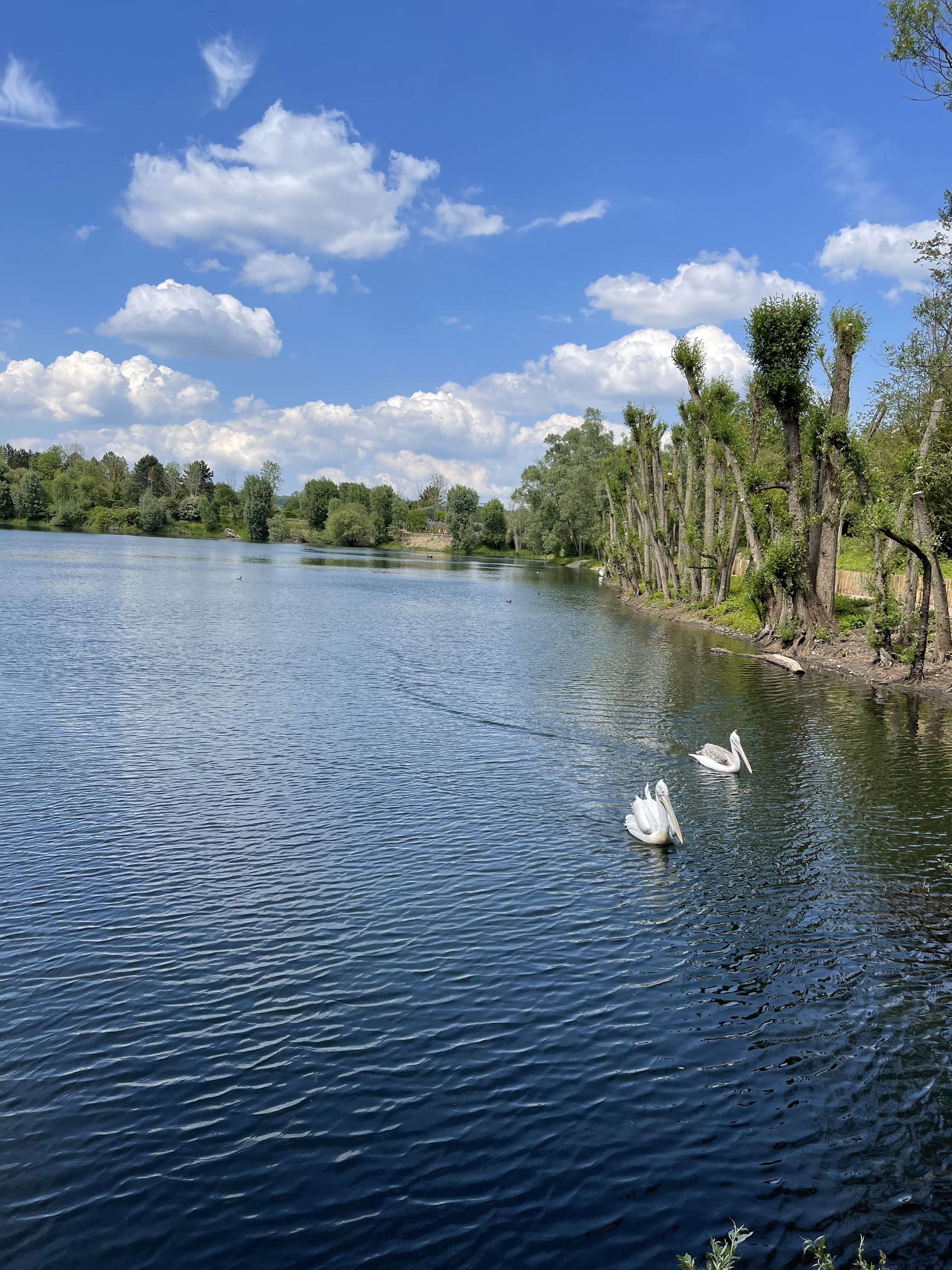 Photo n° 13 de l'avis de Anthony.e fait le 20/05/2023 à 14:48