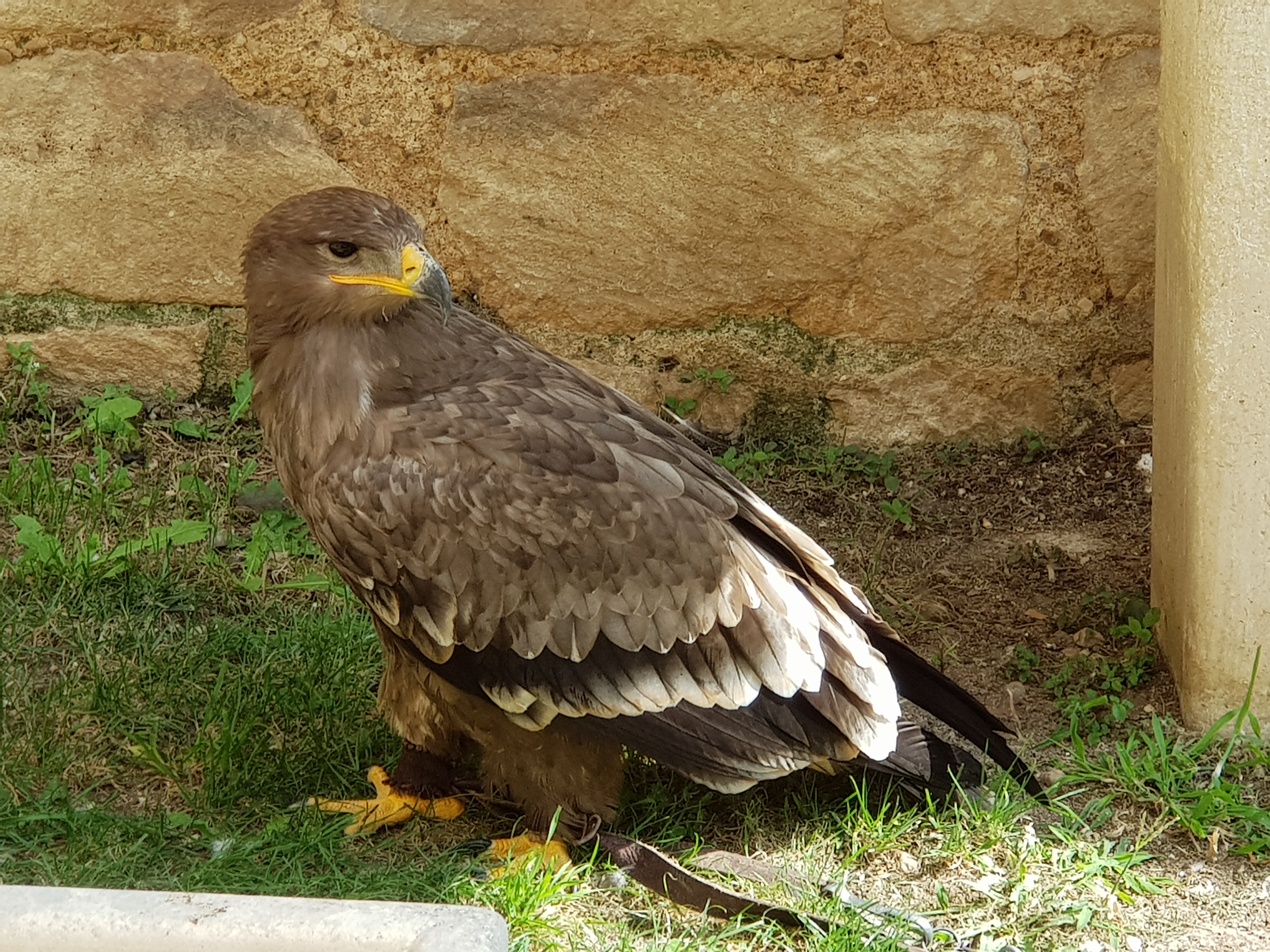 Photo n° 6 de l'avis de francois.o fait le 09/09/2018 à 14:03