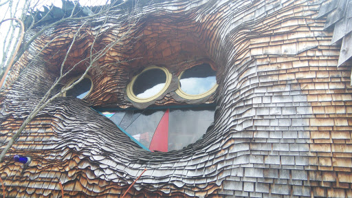 Tourist Attraction «Mushroom House», reviews and photos, 3518 Tarpis Ave, Cincinnati, OH 45208, USA