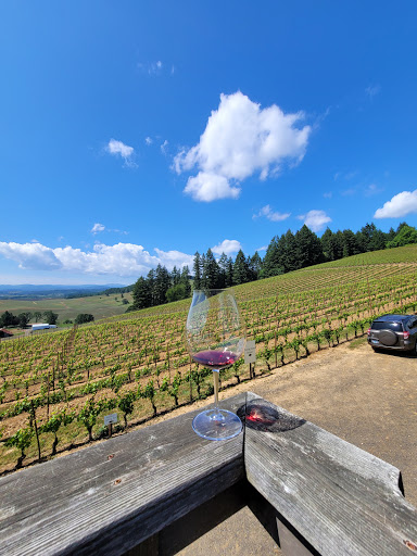 Winery «Lenne», reviews and photos, 18760 NE Laughlin Rd, Yamhill, OR 97148, USA