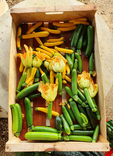 Legumes bio a la ferme à Saint-Jean-de-Luz