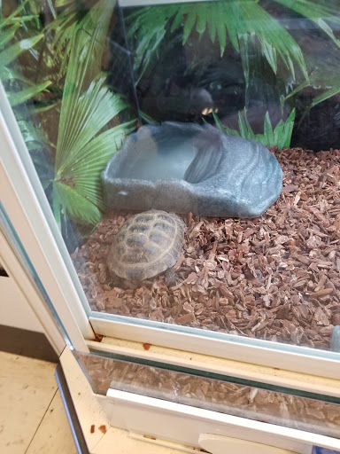 Pet Supply Store «PetSmart», reviews and photos, 73 RHL Blvd, South Charleston, WV 25309, USA