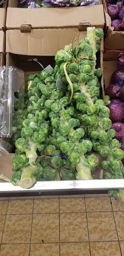 Supermarket «ALDI», reviews and photos, 1260 Powder Springs St SW, Marietta, GA 30064, USA