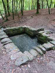 St. Anthony's Well