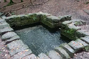 St. Anthony's Well image