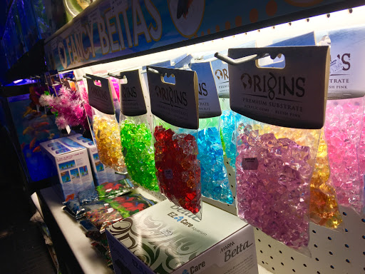 Pet Store «Petland Discounts - Paterson», reviews and photos, 128 Main St, Paterson, NJ 07505, USA