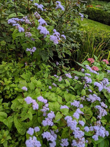 Museum «Princeton University Art Museum», reviews and photos, Elm Dr, Princeton, NJ 08544, USA