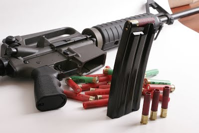 Vulture arms international arms company