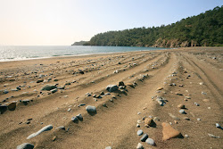 Foto av Tekirova Beach beläget i naturområde