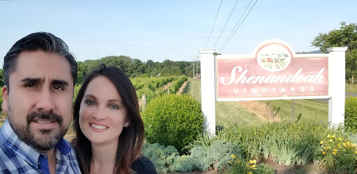 Winery «Shenandoah Vineyards», reviews and photos, 3659 S Ox Rd, Edinburg, VA 22824, USA