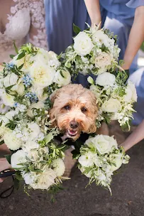 Master Plans Events & Designs - Car repair in Torrance, CA, Los Angeles - Rated 5.0/5