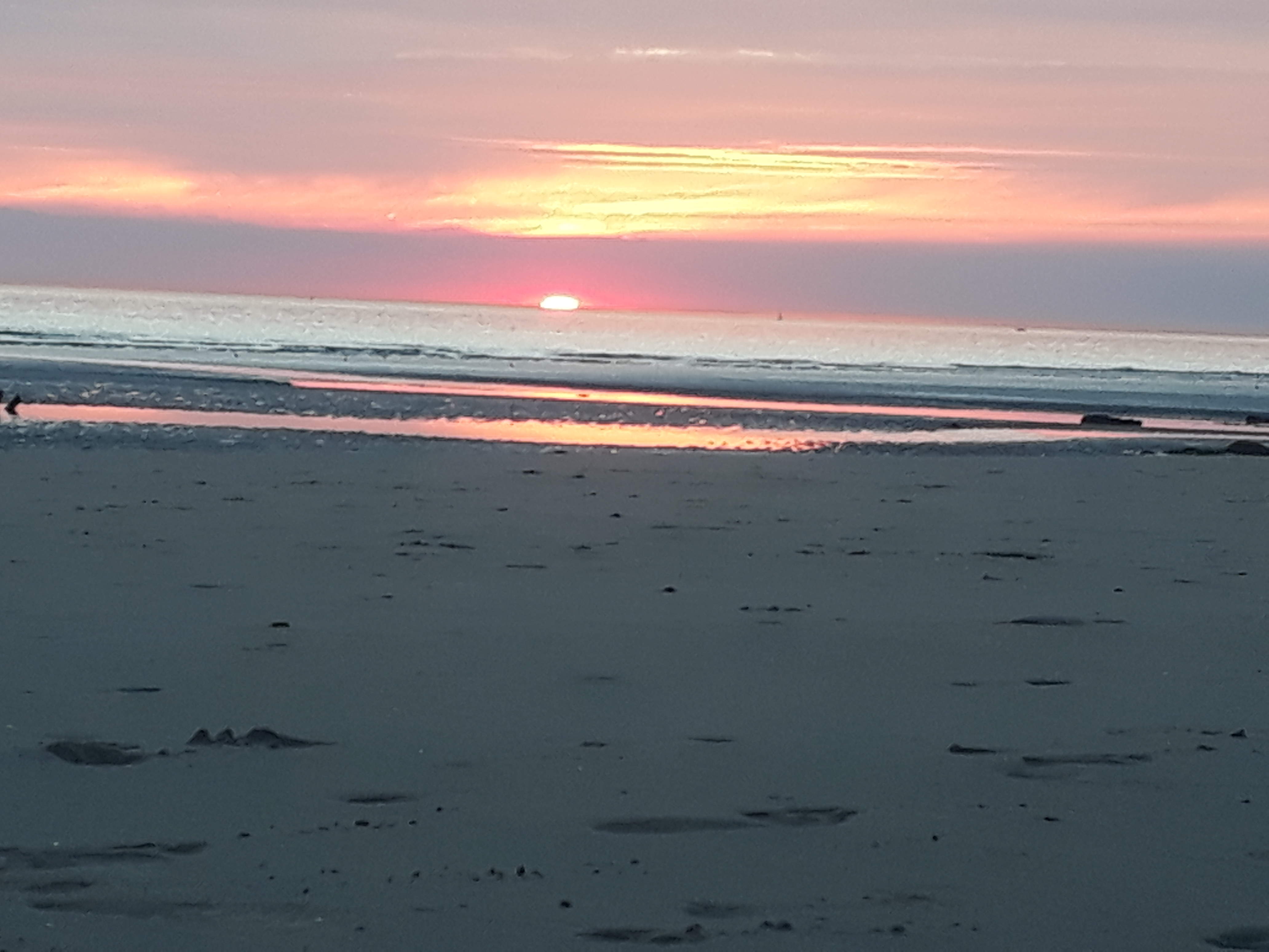 Photo n° 1 de l'avis de Pauline.e fait le 21/08/2018 à 20:34