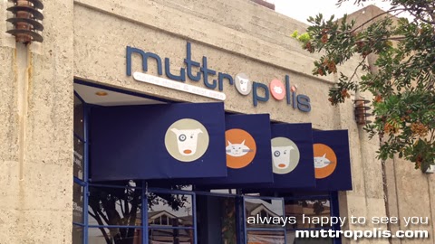 Pet Store «Muttropolis La Jolla», reviews and photos, 7755 Girard Ave, La Jolla, CA 92037, USA