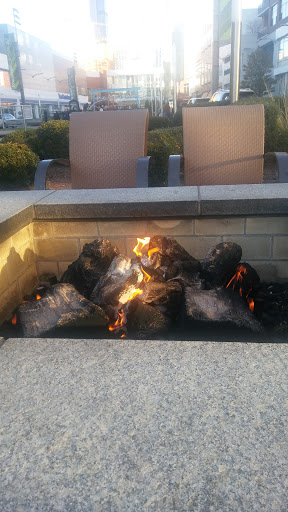 Movie Theater «ShowPlace ICON Theatres at Roosevelt Collection with ICON•X - Chicago», reviews and photos, 1011 S Delano Ct, Chicago, IL 60605, USA