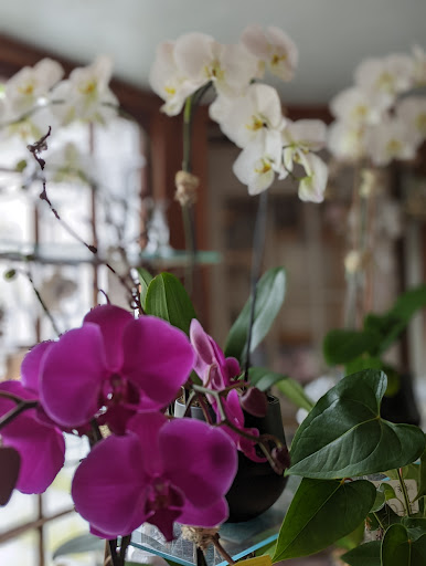 Florist «Guilford White House Florist», reviews and photos, 966 Boston Post Rd, Guilford, CT 06437, USA