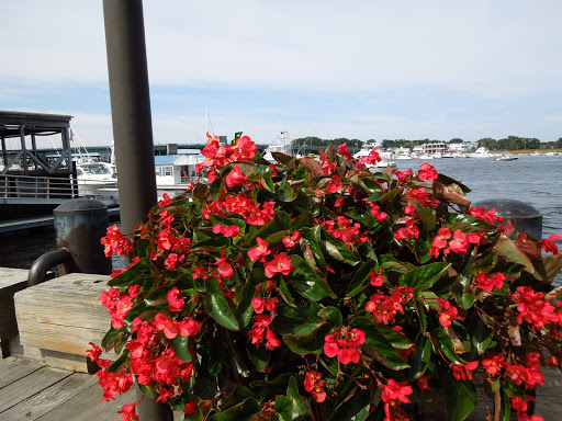 Park «Waterfront Promenade Park», reviews and photos, 22 Merrimac St, Newburyport, MA 01950, USA