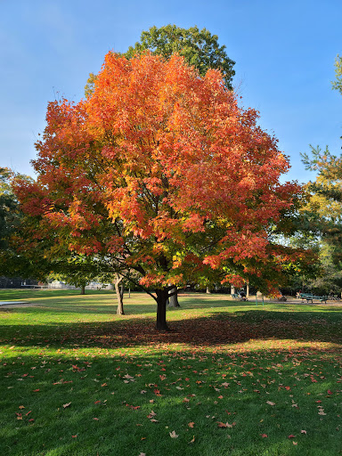 Memorial Park «Frothingham Park», reviews and photos, 15 Park St, North Easton, MA 02356, USA