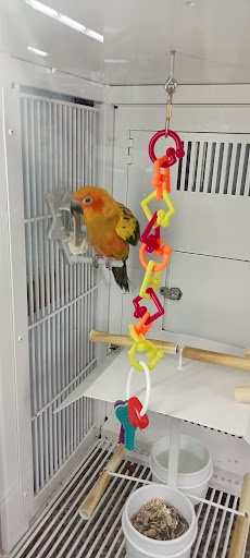 Pet Supply Store «Petco Animal Supplies», reviews and photos, 474 228th Ave NE, Sammamish, WA 98074, USA