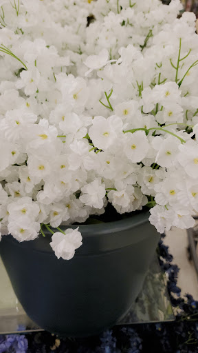 Craft Store «Hobby Lobby», reviews and photos, 1425 Tuskawilla Rd #111, Winter Springs, FL 32708, USA