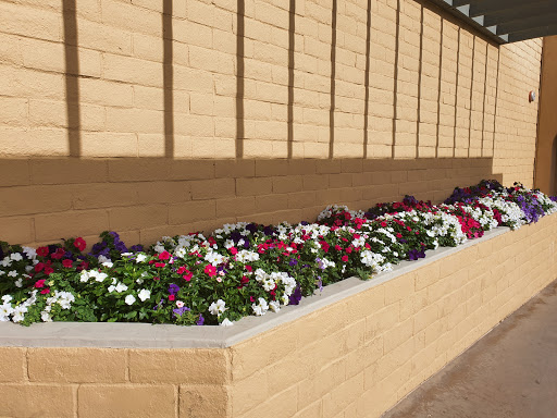 Supermarket «Stater Bros. Markets», reviews and photos, 81056 CA-111, Indio, CA 92201, USA