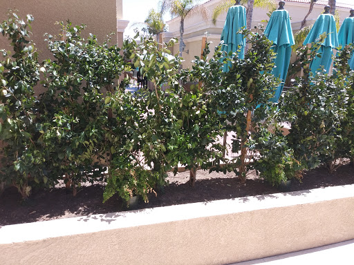 Balboa Bay Resort image