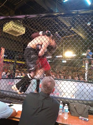 Electric Cowboy - photo 25