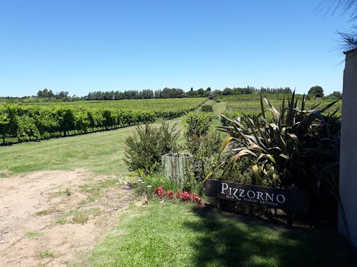 Pizzorno winery (Pizzorno Family Estates)