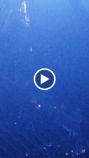 Arena «T-Mobile Arena», reviews and photos, 3780 S Las Vegas Blvd, Las Vegas, NV 89158, USA