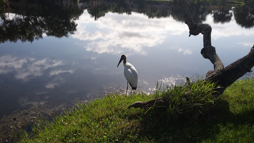 Performing Arts Theater «The Township Community Master Association Inc», reviews and photos, 2452 Lyons Rd, Pompano Beach, FL 33063, USA