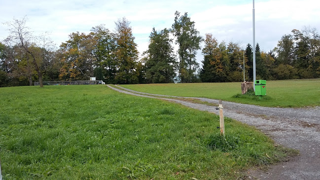 Rezensionen über Hundeschule Wyden in Zug - Hundeschule