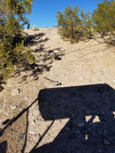 Golf Club «Quarry Pines Golf Club», reviews and photos, 8480 N Continental Links Dr, Tucson, AZ 85743, USA