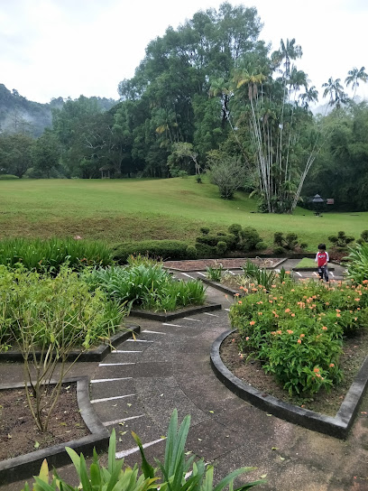 Botanical Garden Penang