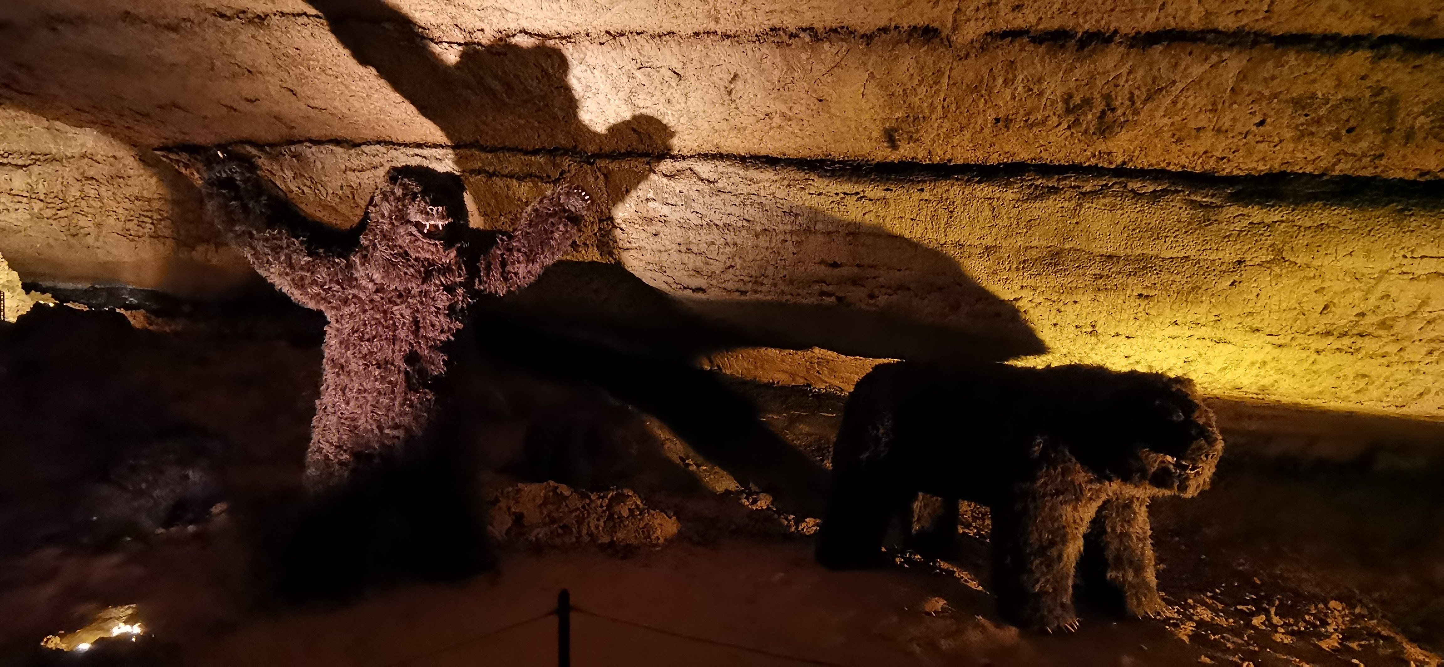Photo n° 11 de l'avis de François-Régis.E fait le 15/08/2023 à 22:00