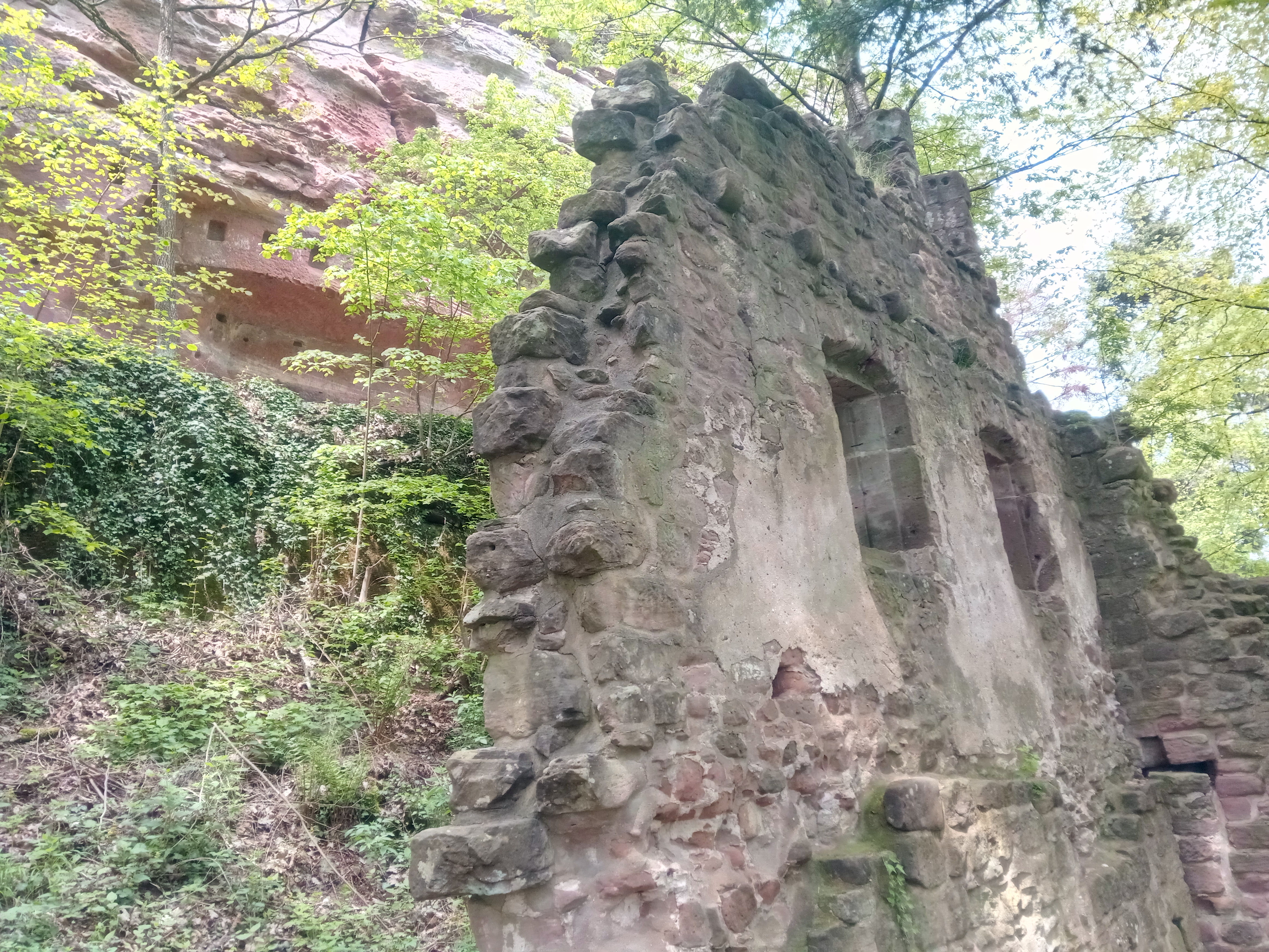 Photo n° 14 de l'avis de Ives.e fait le 03/05/2019 à 12:37