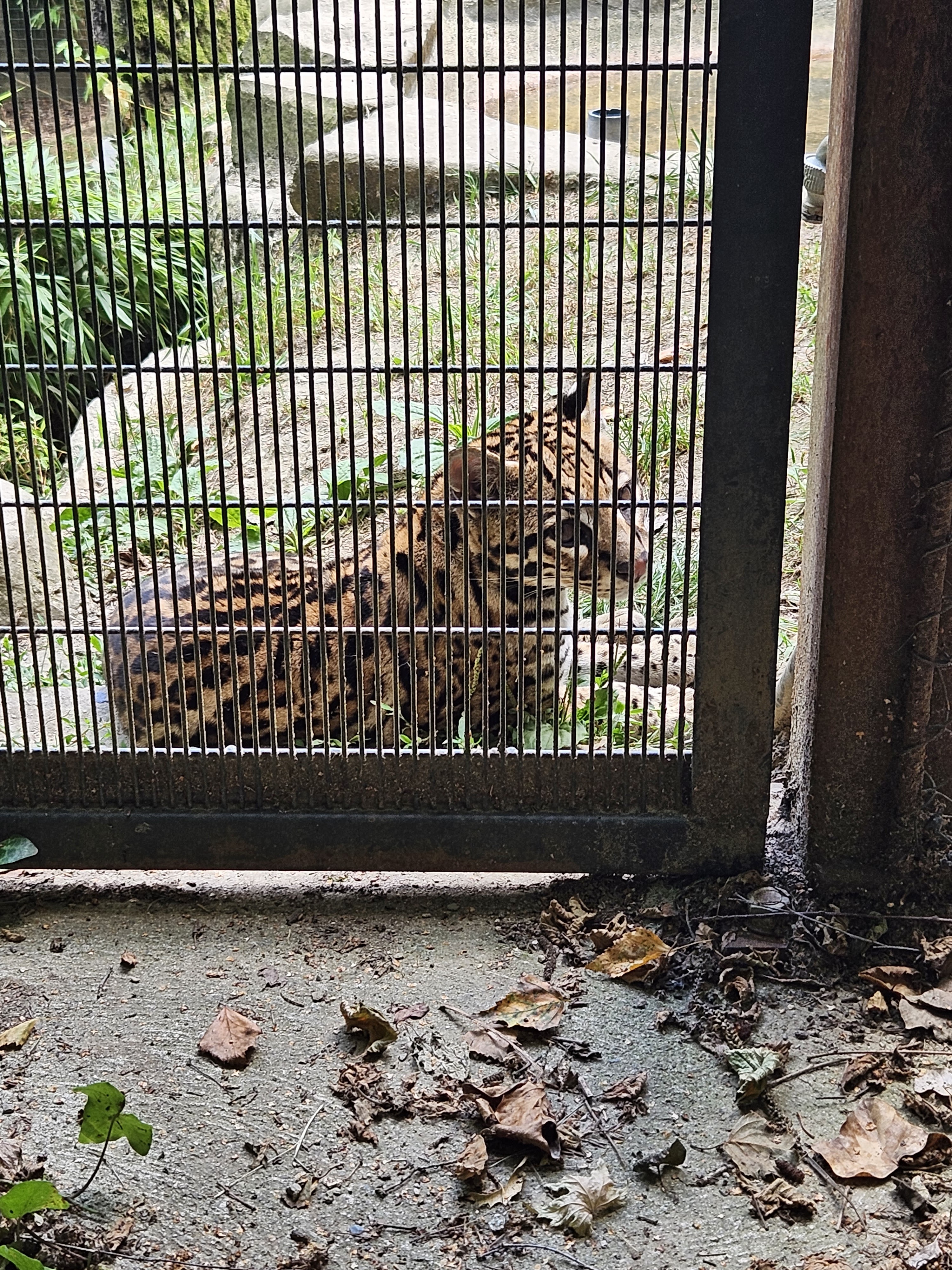 Photo n° 2 de l'avis de Christian.o fait le 01/08/2023 à 19:28