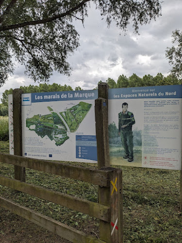Marais de Péronne-en-Melantois à Péronne-en-Mélantois