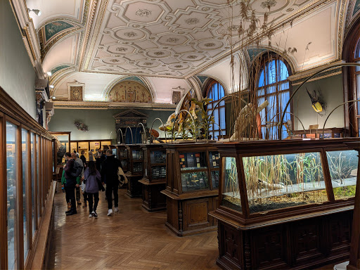 Museum of Natural History Vienna