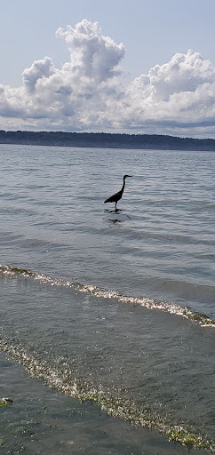Park «Seahurst Park», reviews and photos, 1600 SW Seahurst Park Rd, Burien, WA 98166, USA