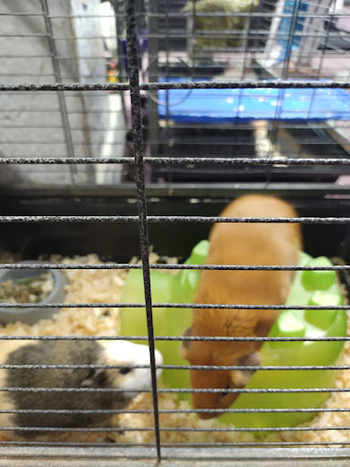 Pet Store «Animal City Pet Center», reviews and photos, 919 NW Broad St, Murfreesboro, TN 37129, USA