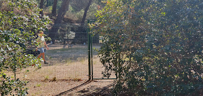 Club Canin de Cassis à Roquefort-la-Bédoule