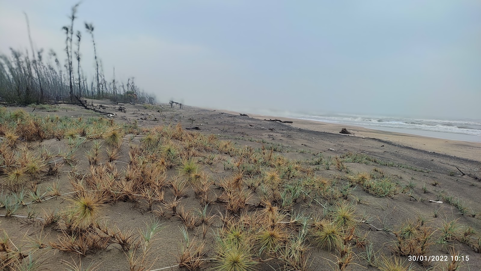 Kameswaram Beach photo #8