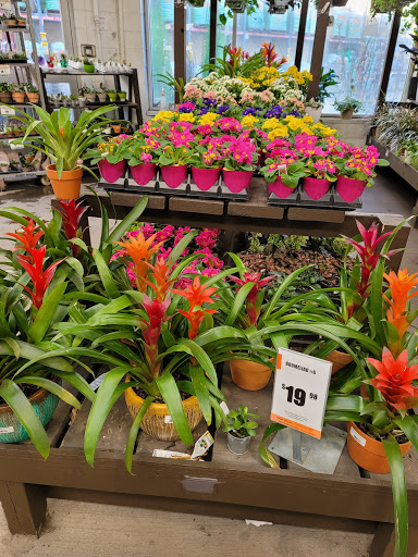 Home Improvement Store «The Home Depot», reviews and photos, 131-35 Avery Ave, Flushing, NY 11355, USA